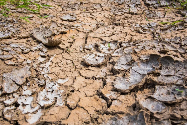 Pęknięta sucha gleba na wsi — Zdjęcie stockowe