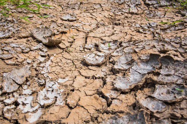 Gebarsten droge grond op het platteland — Stockfoto