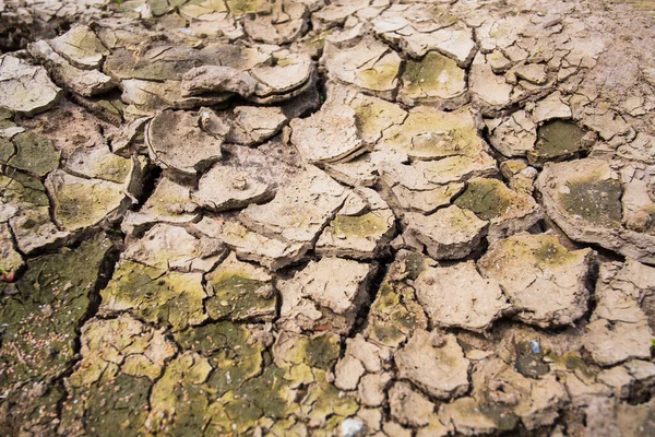 Sols secs fissurés à la campagne — Photo