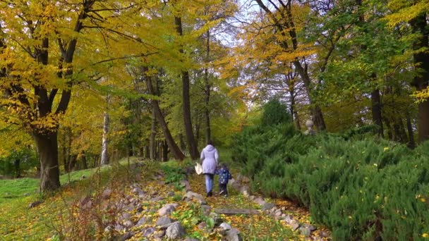 Mamă și copil de nerecunoscut mergând în parcul de toamnă — Videoclip de stoc