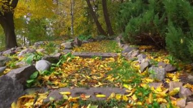 Sonbahar yapraklarıyla kaplı yol