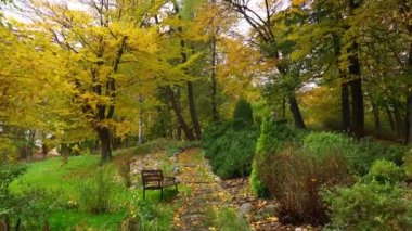 Sonbahar gününde huzurlu bir park