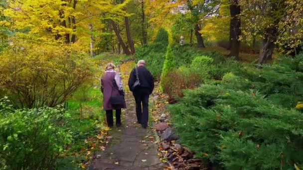 Anonymous mature couple walking in autumn park — Stockvideo