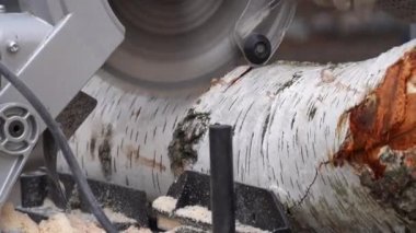 Kırpıcı kişi miter testere ile kütük kesiyor