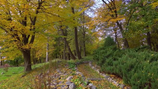 Friedlicher Park an einem Herbsttag — Stockvideo