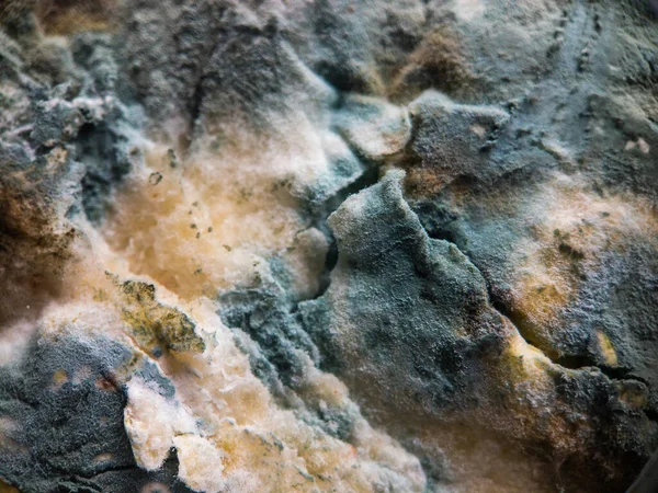 Çatlakları olan kaba küflü yüzey.