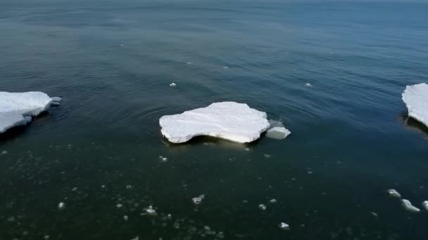 Замерзшее снежное побережье со льдом, плавающим по морской воде — стоковое видео