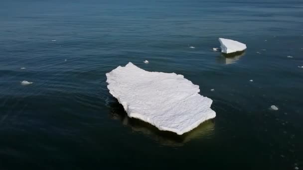 Glaciares congelados en el agua de mar en invierno — Vídeos de Stock