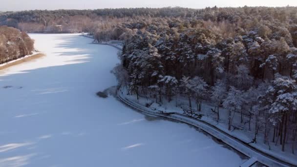 Silnice mezi řekou a lesem v zimním dni — Stock video