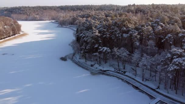 Roadway between river and forest in winter day — Stock Video