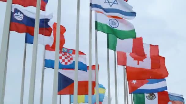 Banderas de diferentes países en asta de bandera — Vídeo de stock