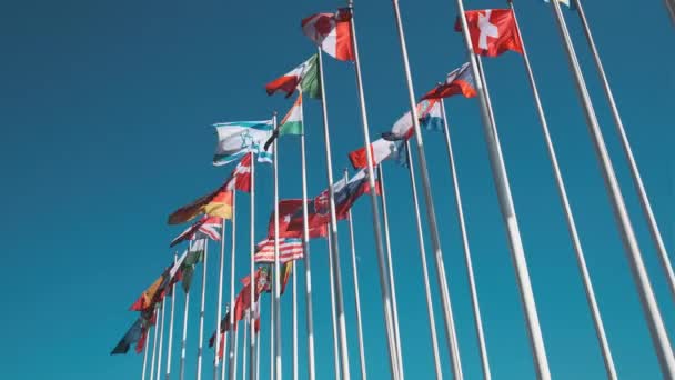 Verschillende vlaggen wapperen op vlaggenmasten — Stockvideo