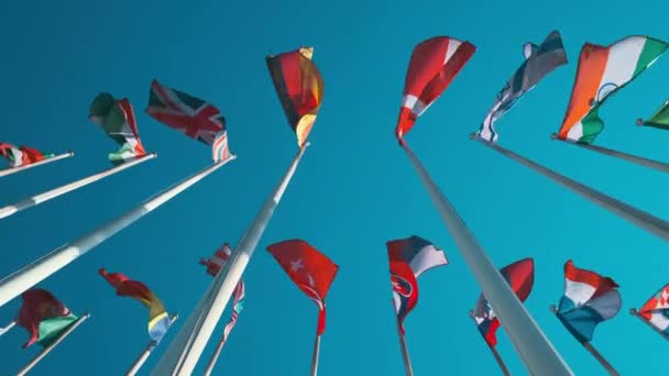 Bayrak direğinde dalgalanan farklı bayraklar — Stok video
