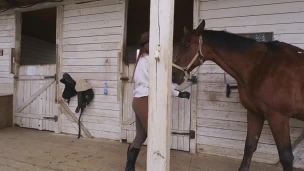 Vrouwelijke ruiter met paard nabij stal — Stockvideo