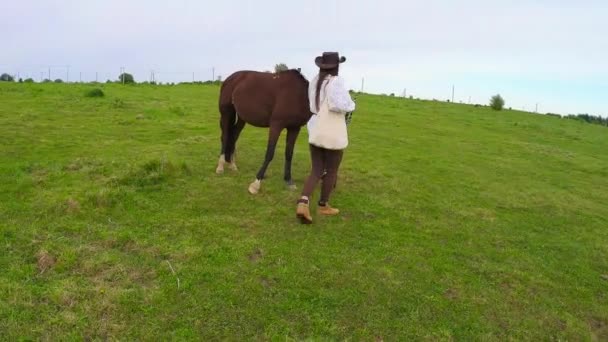 Vrouw leidend paard met hoofdstel op het platteland — Stockvideo
