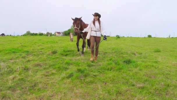 Cavaleira com cavalo caminhando no campo — Vídeo de Stock