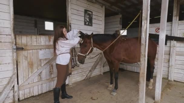 Vrouw veegt paard in stal — Stockvideo