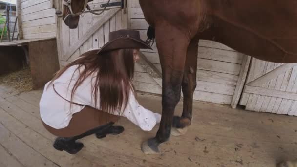 Cheval femme de ménage fourrure de cheval avec brosse — Video