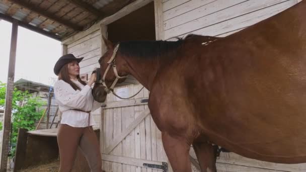 Koń całujący konia w stodole — Wideo stockowe