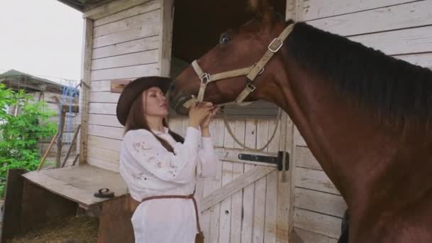 Женщина гладит лошадь в конюшне — стоковое видео