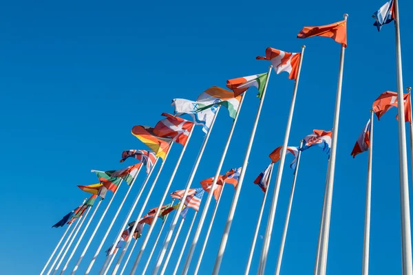 Különböző zászlók lobognak zászlórudakon — Stock Fotó