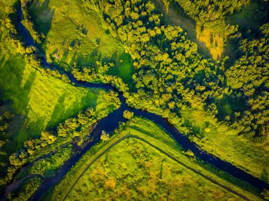 Doğadaki yemyeşil ağaçların yanındaki nehir.
