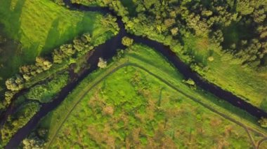 Doğadaki yemyeşil ağaçların yanındaki nehir.