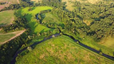 Doğadaki yemyeşil ağaçların yanındaki nehir.