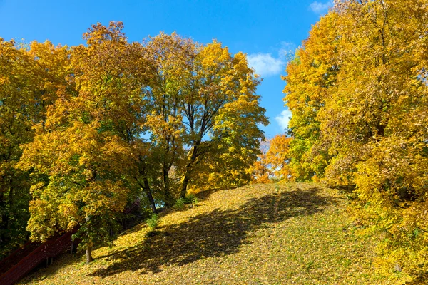 Park in het najaar — Stockfoto