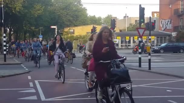 Radfahrer fahren auf der Straße — Stockvideo