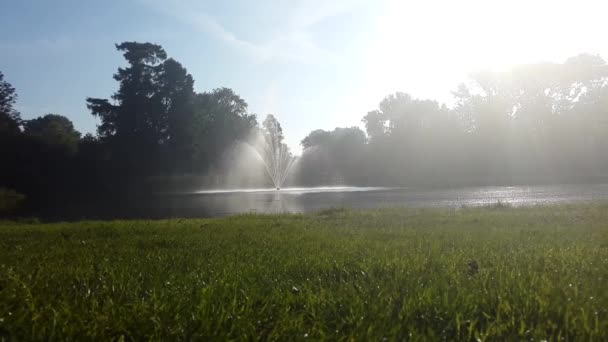 Fontein in het Vondelpark in Amsterdam — Stockvideo