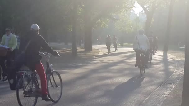 Rowerzyści jeżdżą w parku Vondelpark — Wideo stockowe