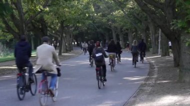 Bisikletçiler binmek Vondelpark