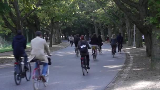 Paseos en bicicleta en Vondelpark — Vídeo de stock