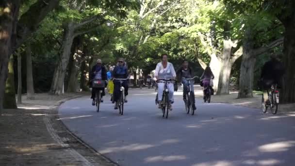 Cyklister åka i Vondelpark — Stockvideo