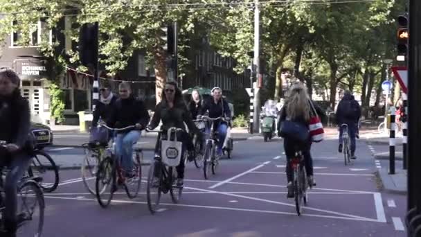 Cyklisté jezdit na ulici v Amsterdamu — Stock video