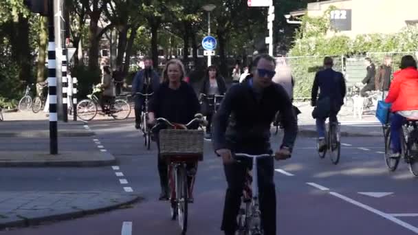 Cyklister rida på gatan i Amsterdam — Stockvideo