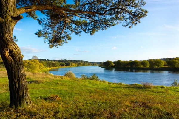 Nerisfluss — Stockfoto