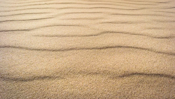 Texture of the real sand waves — Stock Photo, Image