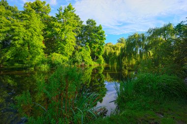 Amsterdam Vondelpark