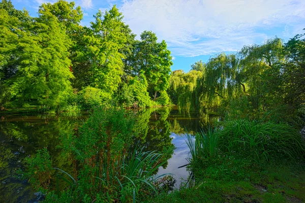 Парк Фонделпарк в Амстердамі — стокове фото