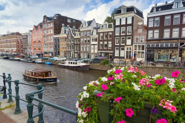 Amsterdammer — Stockfoto