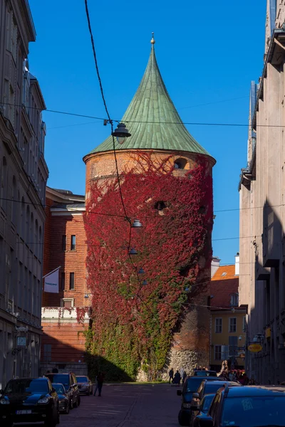 Tour de poudre Riga — Photo