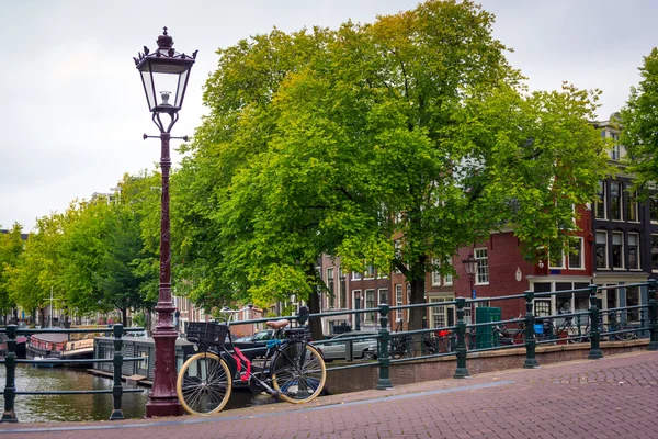 Amsterdammer — Stockfoto