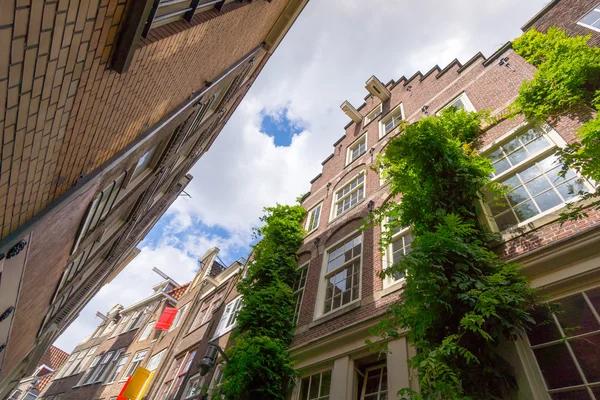 Homlokzatú házak, a régi város, Amszterdam — Stock Fotó