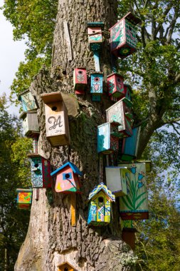 Birçok farklı kuş evleri