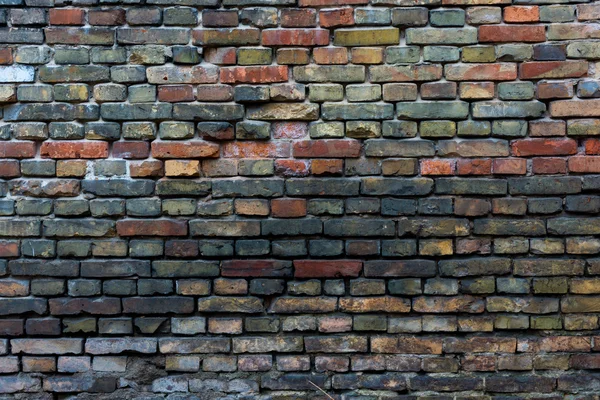 Bunte Ziegelwand — Stockfoto