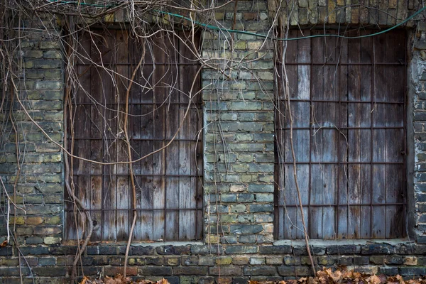 Windows bordade upp med brädor — Stockfoto