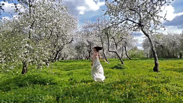 Junge Frau im Apfelgarten — Stockvideo