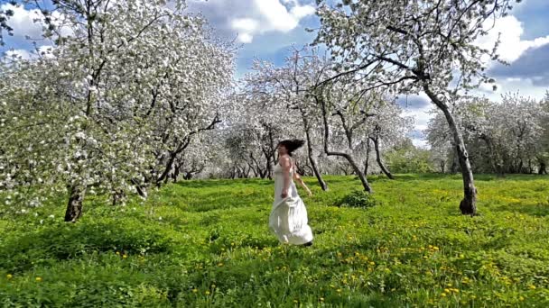 Young woman in the apple garden — Stock Video